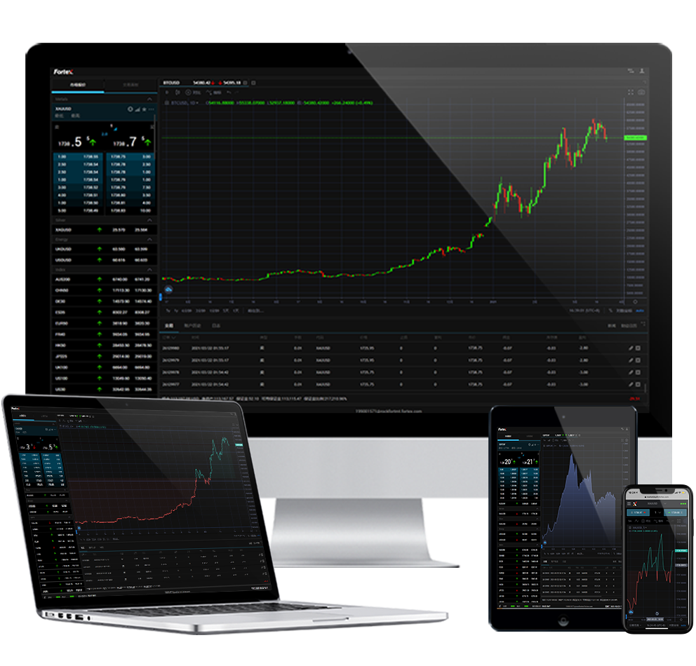 Fortex API interface visualization